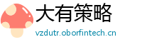 大有策略